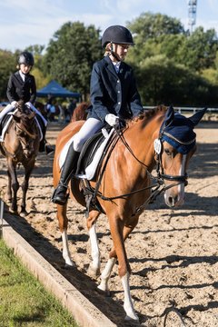 Bild 7 - Pony Akademie Turnier